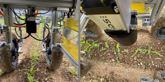 画像データで収穫高の予想データや植物病害の早期検出などの情報を提供