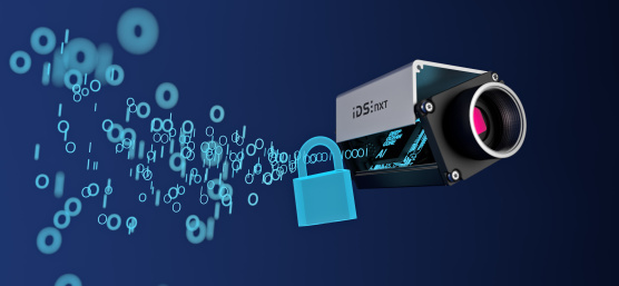 オープンケースのIDS NXT「KI」、その左側にコードとロック