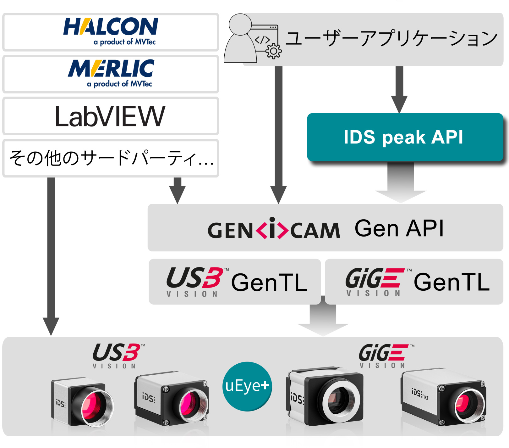 IDS peak SDKによるシンプルなソフトウェア開発｜テクニカル記事 | IDS