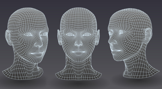 顔の 3D モデルが作成され、自動識別の現場で卓越した品質を実現します