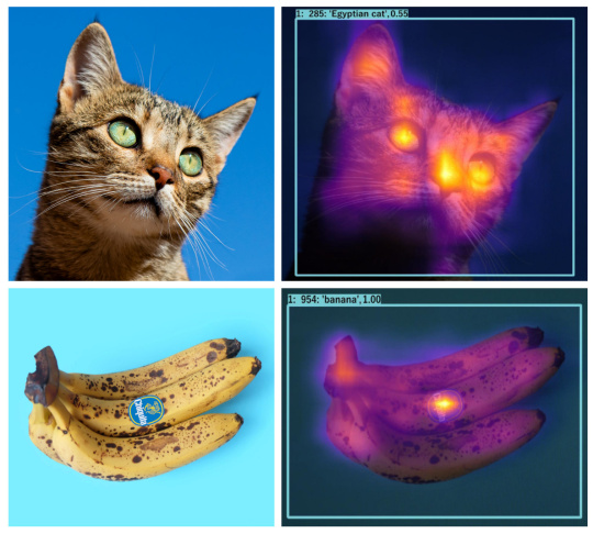 アテンションマップ
