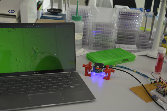USB3 uEye XLE ボードレベルカメラ搭載蛍光顕微鏡。画面は撮影した細胞を示しています。