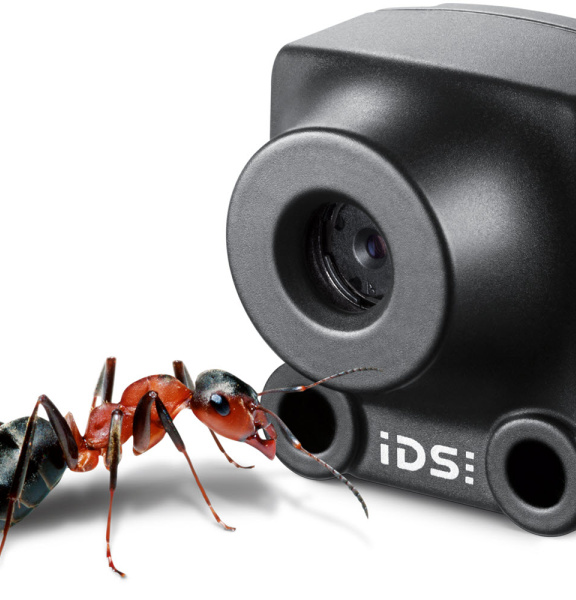 IDS XSのカメラとその前で比較するアリ