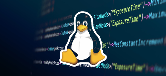 Linuxのロゴとプログラミングコード