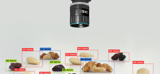 推論カメラの AI アプリケーション