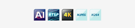 AI、RTSP、4K、MJPEG、H264 のラベルのアイコン