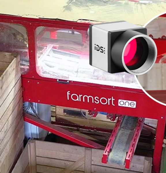 IDS産業用カメラがFarmsort施設でのジャガイモ選別をモニタリング